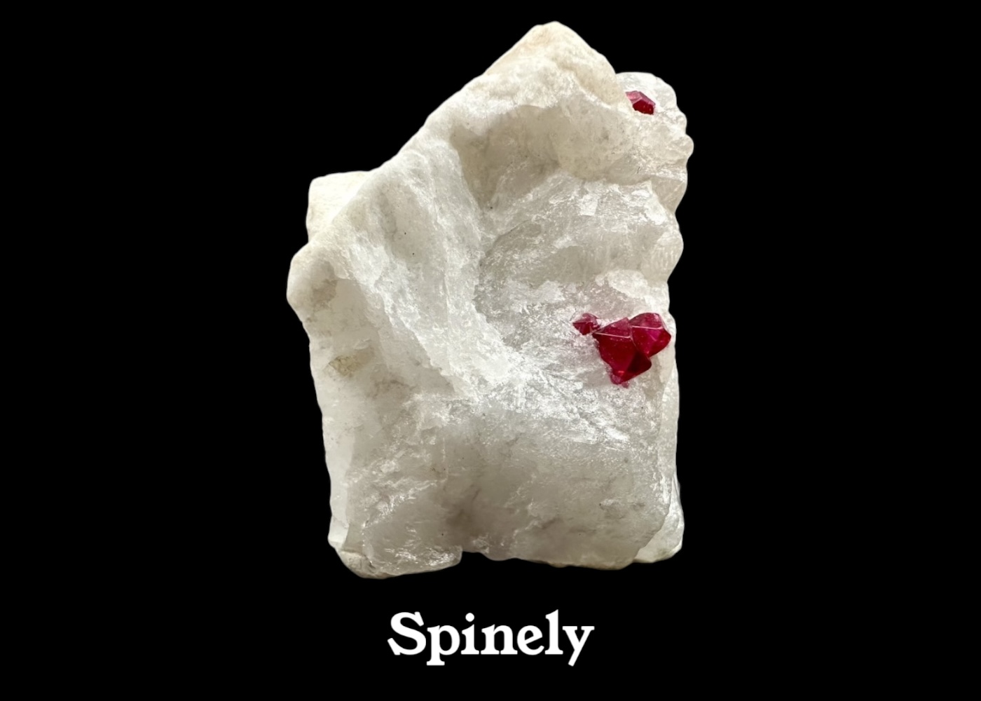 Spinely